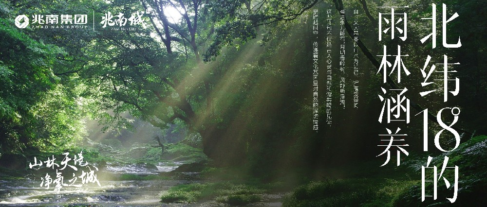 北緯18°的雨林涵養(yǎng)